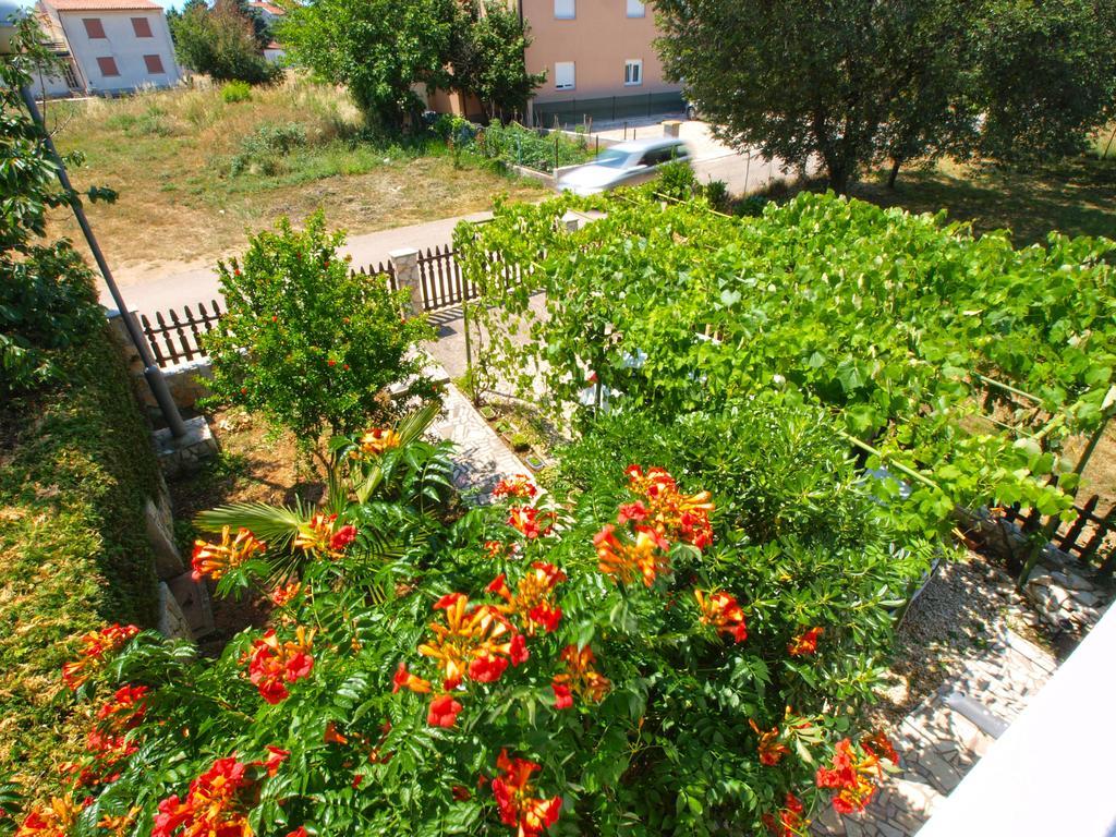Apartments Zlatko 1397 Štinjan Exterior foto